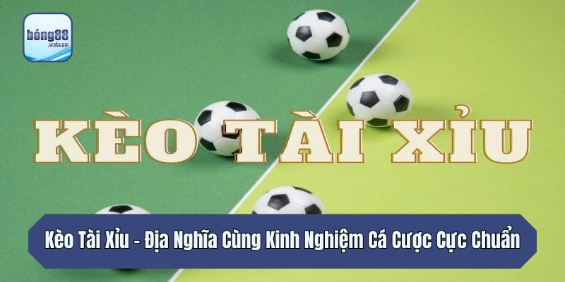 Kèo Tài Xỉu - Địa Nghĩa Cùng Kinh Nghiệm Cá Cược Cực Chuẩn