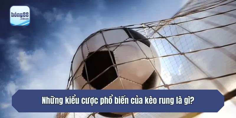 Những kiểu cược phổ biến của kèo rung là gì?